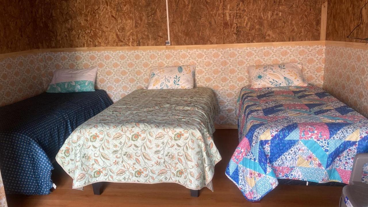 Mecohue Apartment